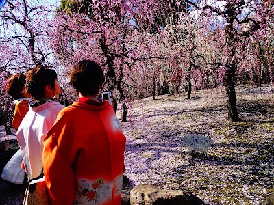 ⛩️ 야마다 텐만구 이미지 12